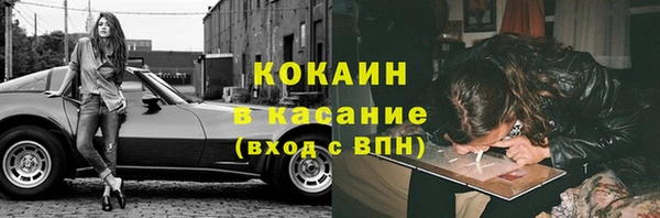шишки Рославль