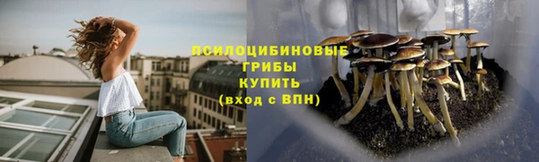 каннабис Алексеевка