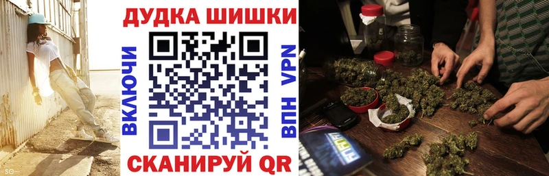 Конопля планчик Грайворон